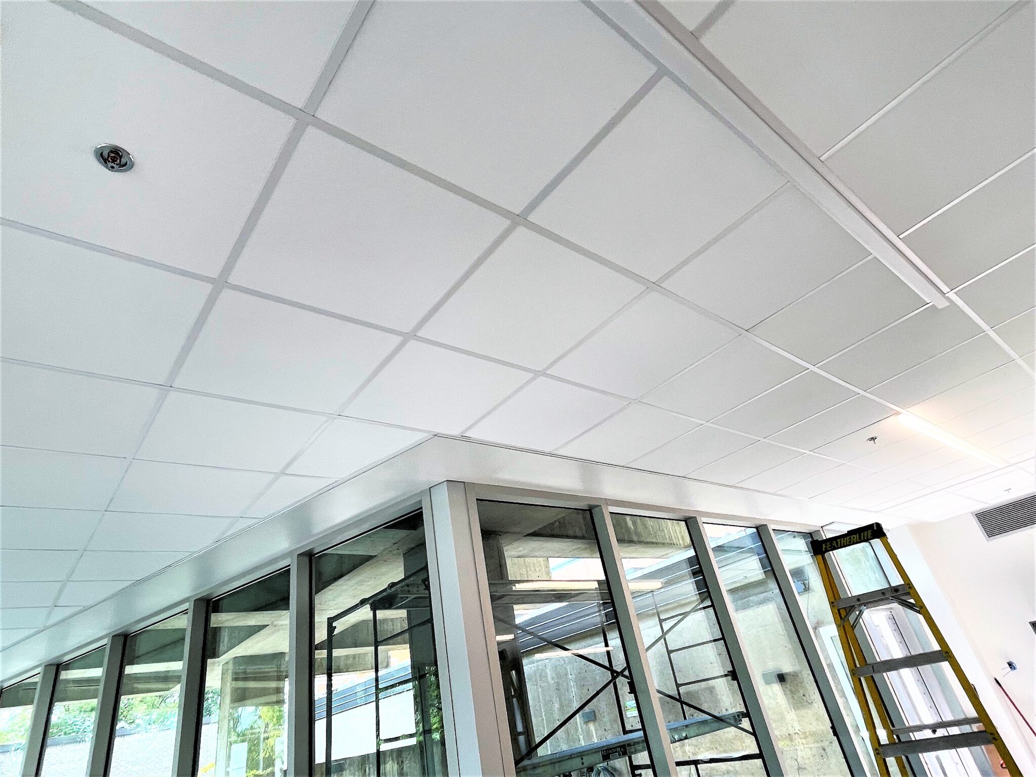 Plafond moderne et lumineux.